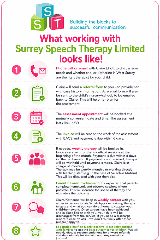 Your Journey with Surrey SLT Ltd..png