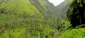 Bangalore to Wayanad 4 Days Tour Package.jpg