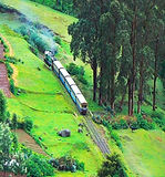 Bangalore to Ooty, Coorg, Nagarhole & Iruppu Falls 6 Days Tour Package.jpg