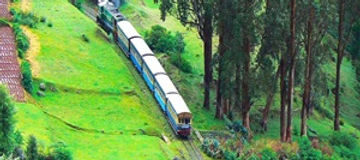 Ooty 1 Day Tour Package from Mysore