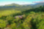DJI_0553.jpg