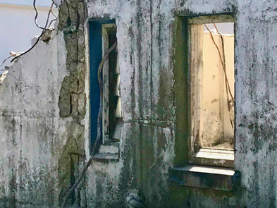 some things that I saw in Tãmaki Makaurau, Auckland, New Zealand.