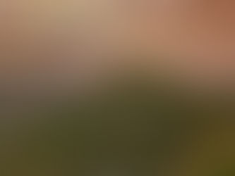 Be a tourist without leaving home ... solo travel in New Zealand