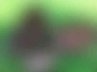 some things that I saw in Tãmaki Makaurau, Auckland, New Zealand.