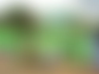 IBD Celebration at the Vhembe Biosphere Reserve