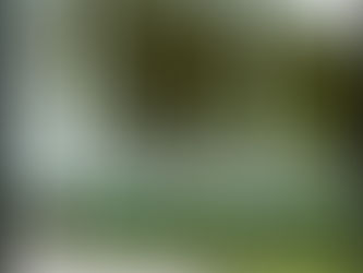 Giving meaning to the right to safe and secure housing through a Human Rights Framework approach