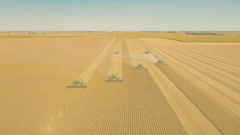 Combines in field