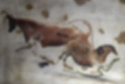 AdobeStock_248897431.jpeg
