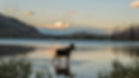 AdobeStock_135641761.jpeg