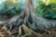 AdobeStock_185275809.jpeg