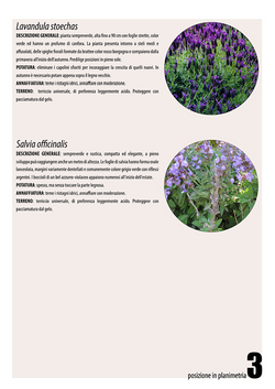 Schede botaniche3_edited