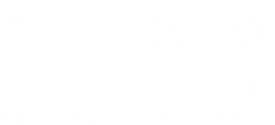 WEBSITE - P4P LOGOS.png