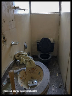 image7
