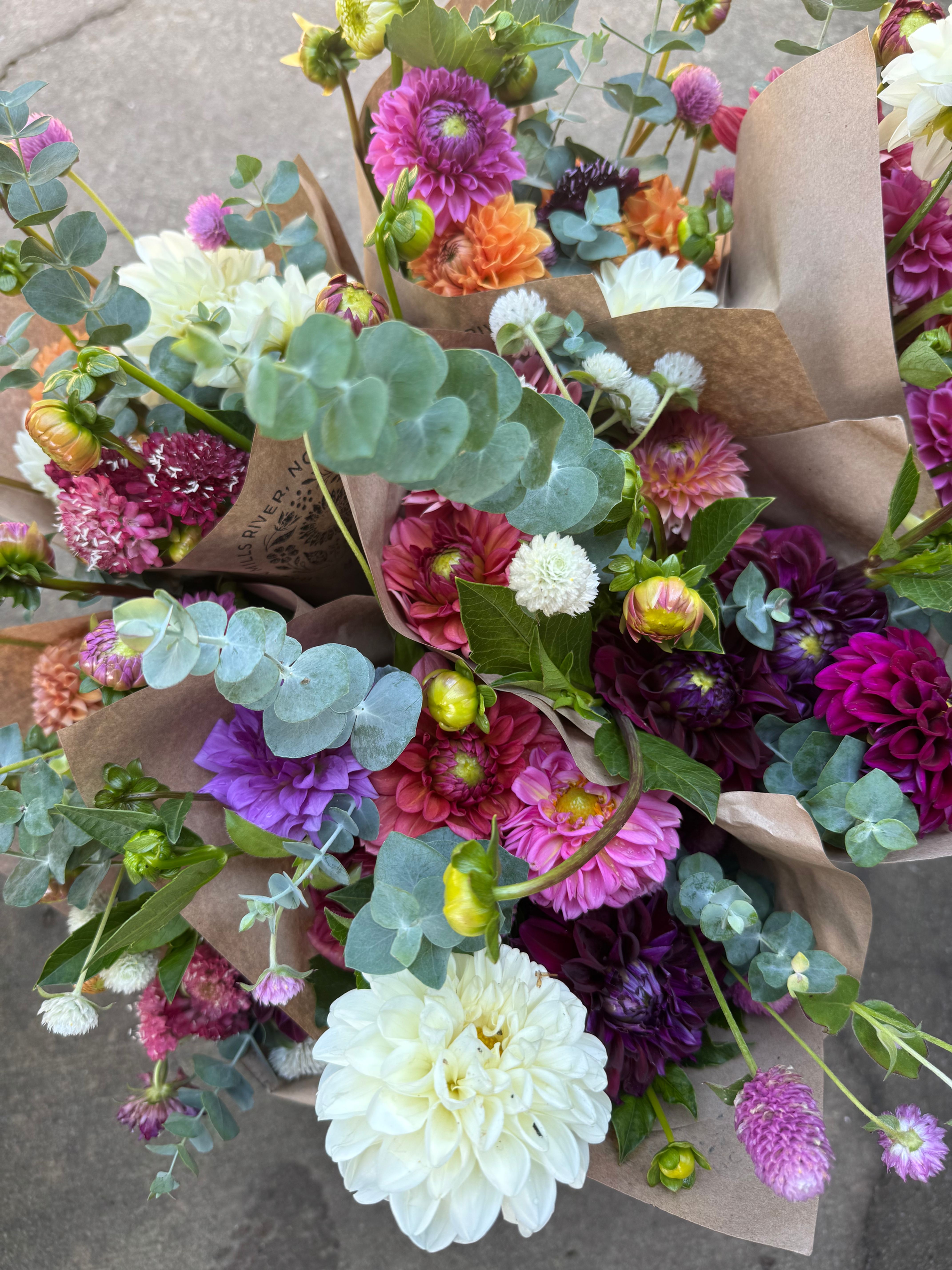 Seasonal Growers Choice Bouquet