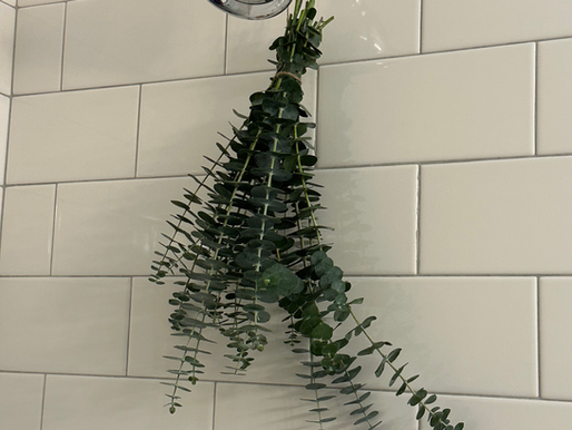 From Our Farm to Your Shower: How We Grow and Use Eucalyptus