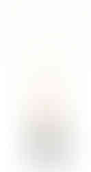 Arcádia Cabaz Flores Preservadas de Natal (48,50€)