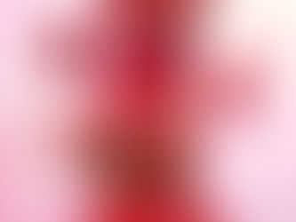 Novo dois em um quer ser o produto mais prático da sua maquilhagem