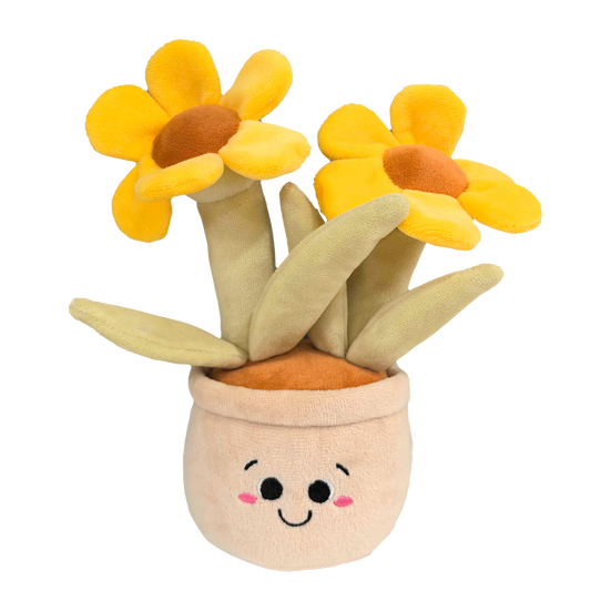 Aldi (2,99€)