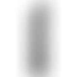 Shiseido ArcherLiner Ink (PVPR: 31€)