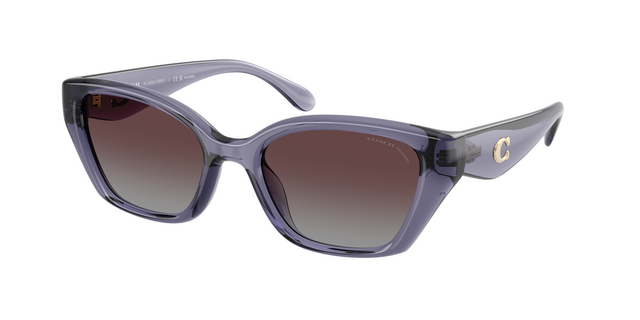 Coach via Sunglass Hut (preço sob consulta)