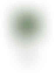 The Masie (preço sob consulta)