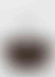 Mango (preço sob consulta)