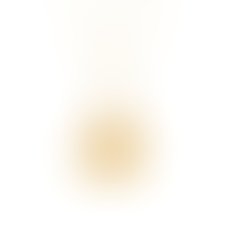 Colar Lucky Elephant Golden via BlueBird (89,95€)