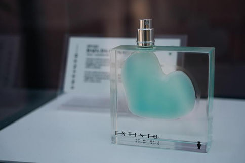 "Extinto". Tem até dia 22 de junho para sentir os aromas ameaçados pela poluição