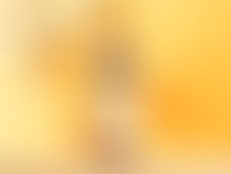 Depois de uma pausa "forçada", o Sulista regressa às prateleiras
