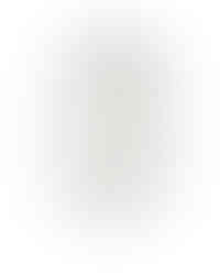 Pinko (295€)