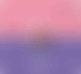 Arcádia Cabaz Flores Preservadas de Natal (48,50€)