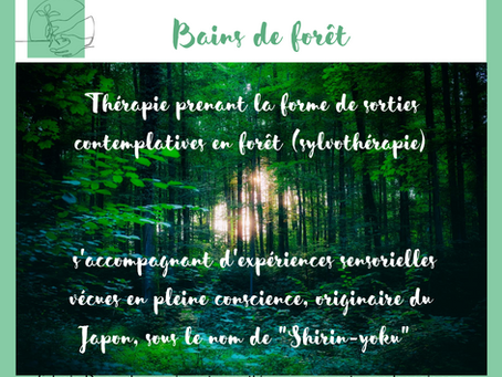 Bains de forêt : que dit la science ? comment les pratiquer ?