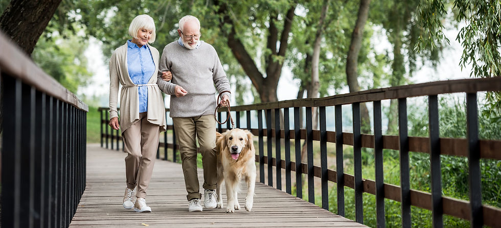 Senior couple walking dog small.jpeg