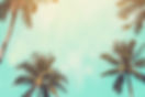 palm-tree-shack2.jpg