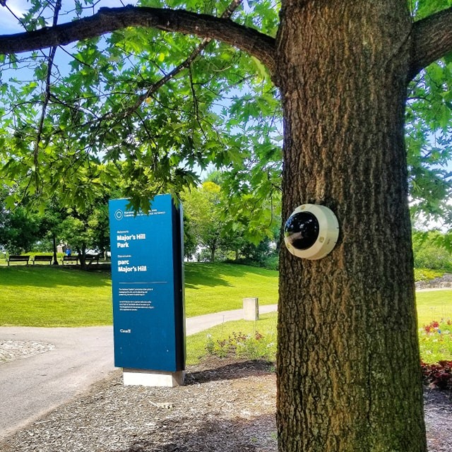 Surveillance Society - 2019