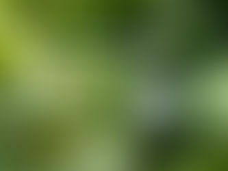 🌿 What Is Naturopathic Medicine?