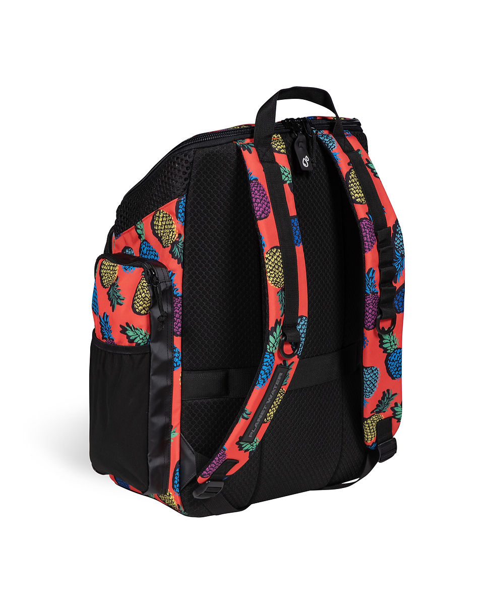 Miniature : Arena One Go Backpack 45L AO pineapples