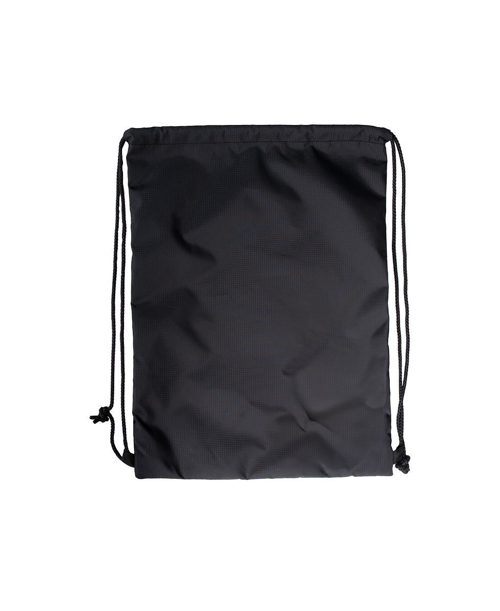 Miniature : Arena One Go Swimbag black