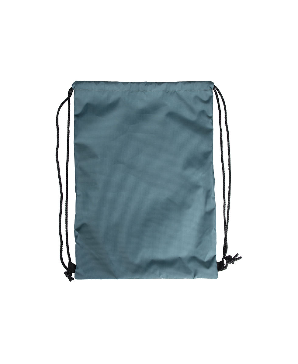 Miniature : Arena One Go Swimbag sage