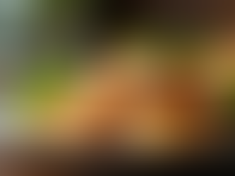 Join Us for the Lenten Fish Fry Fundraiser