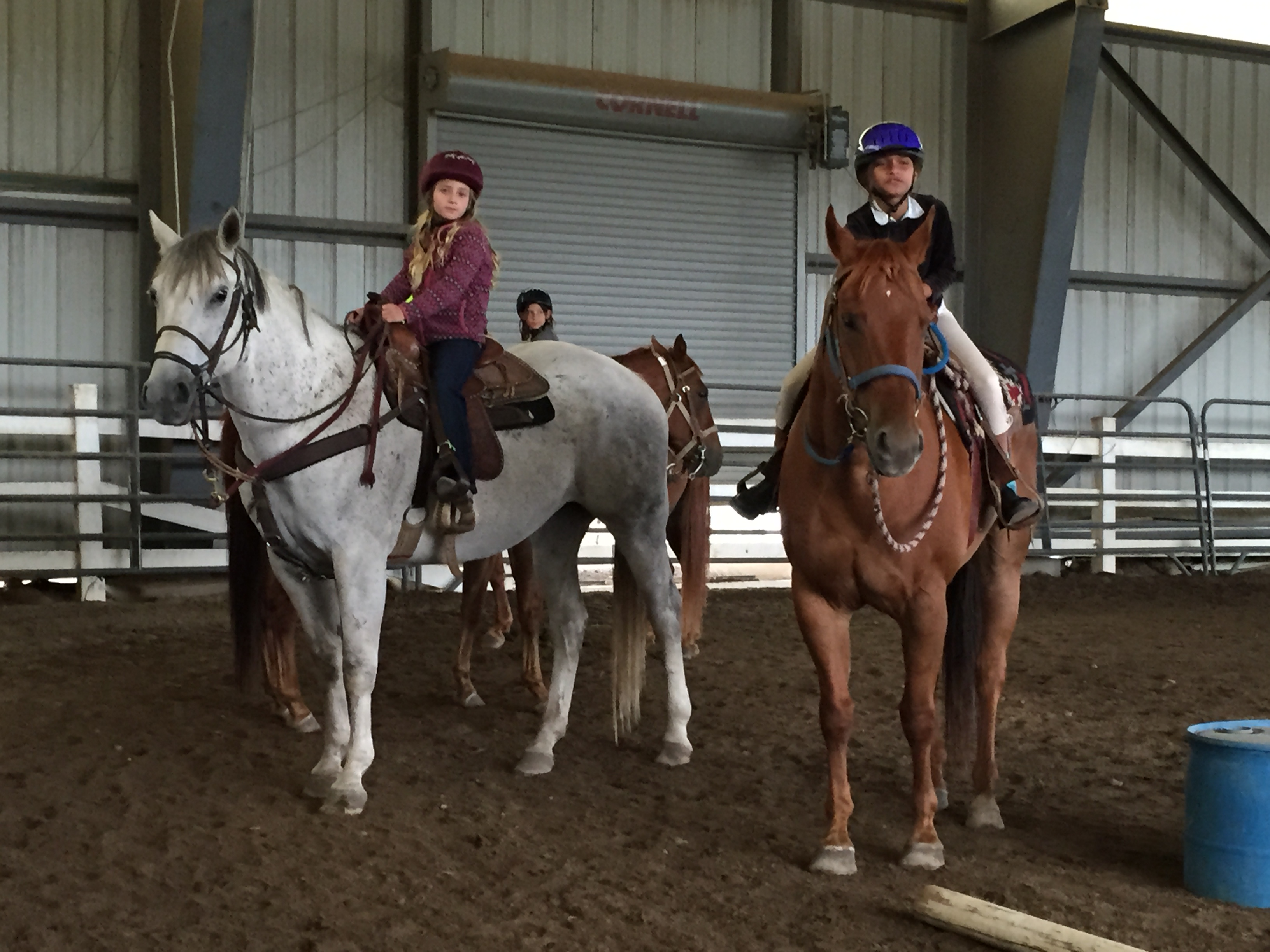 GuestPic11HorseCamp