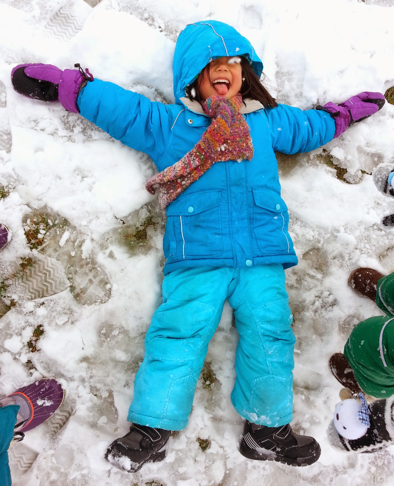 GuestPic16SnowAngelsInTheBackyard