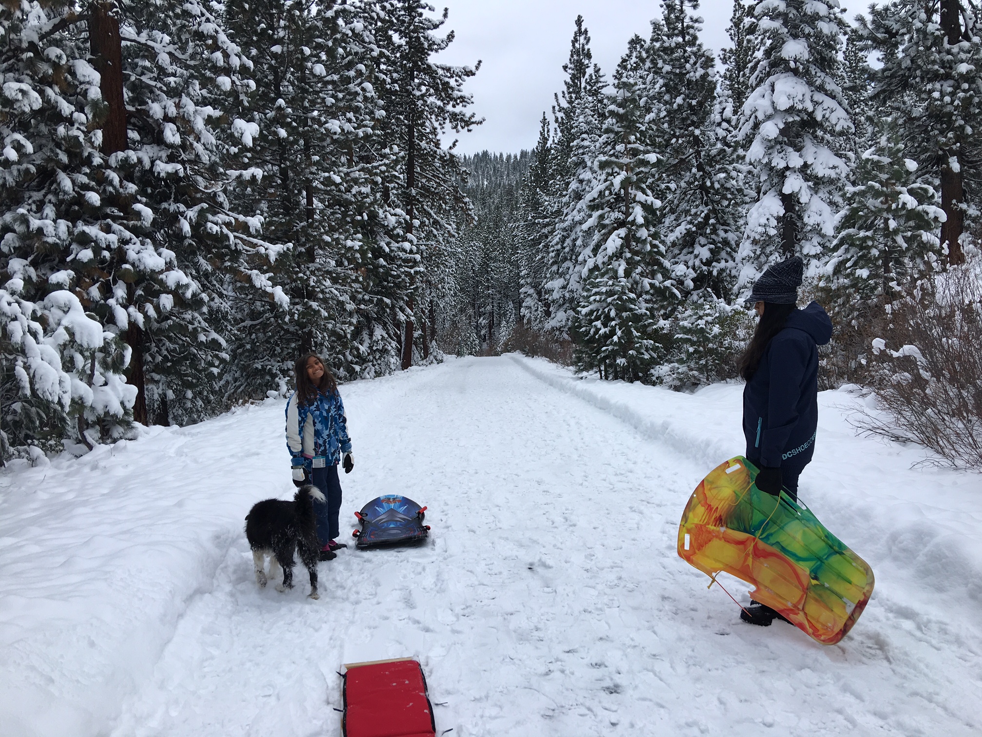 Sledding hill behind Donner Bliss