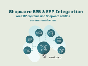 Shopware B2B Shop einrichten: ERP-Anbindung, Preislogik und Best Practices aus der Praxis