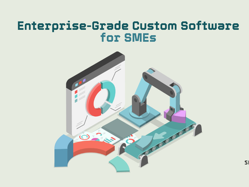 Custom enterprise software