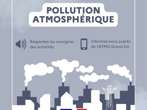 Pic de pollution atmosphérique de type "estival"