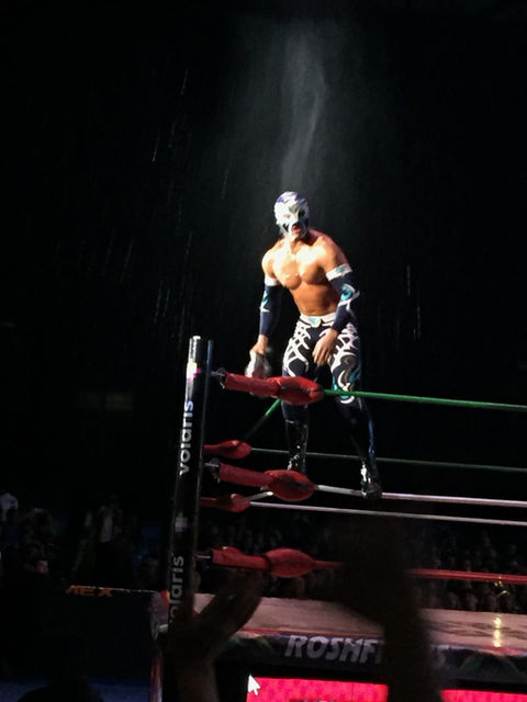 From Mexico, With Love: A Visual Journey