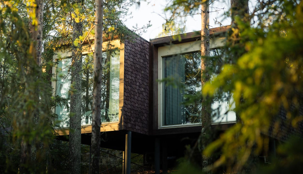 arctic tree house treehouse suite (5).jpgA