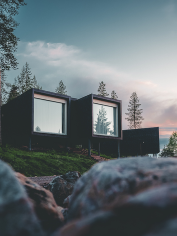 arctic tree house.png