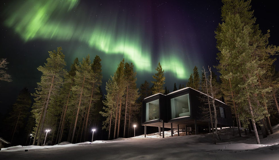 arctic tree house exekutive suite.jpg